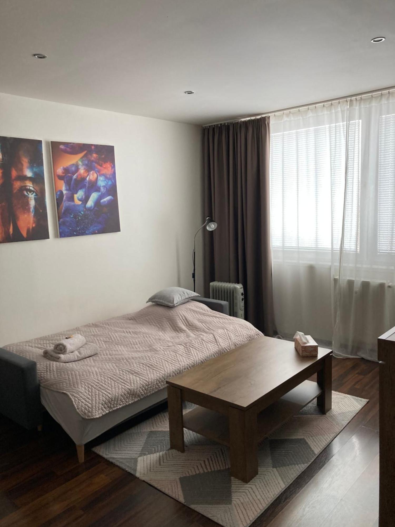 מיכלובצ'ה Apartman Zemplin מראה חיצוני תמונה